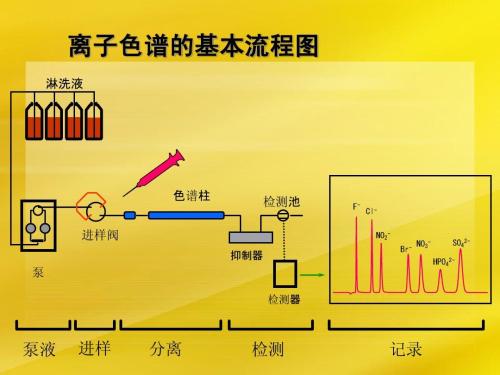 离子色谱的基本流程